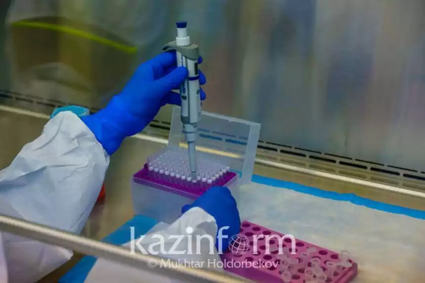Новый штамм коронавируса в Казахстане пока не зарегистрирован – Ажар Гиният